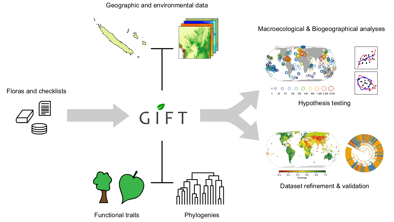 Overview of GIFT